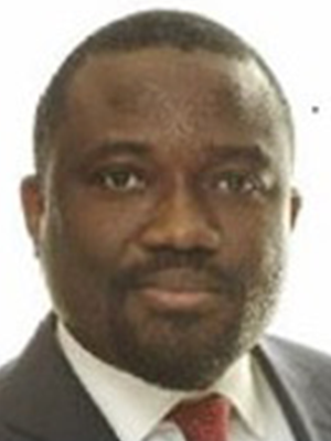 Mr Lanre Akinbo NESG Board Member