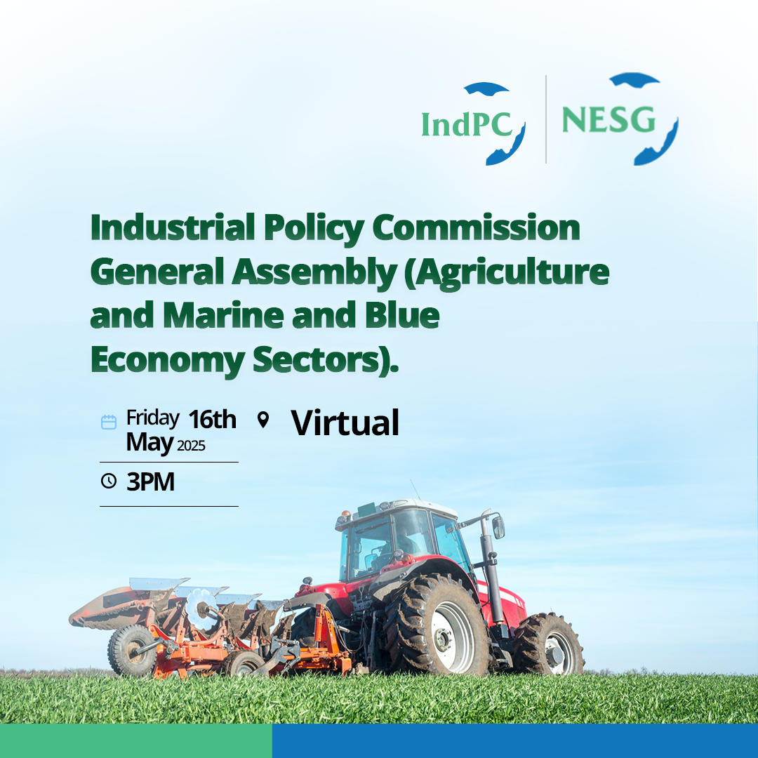NESG, Think-Tank, NESG Nigeria, The Nigerian Economic Summit Group