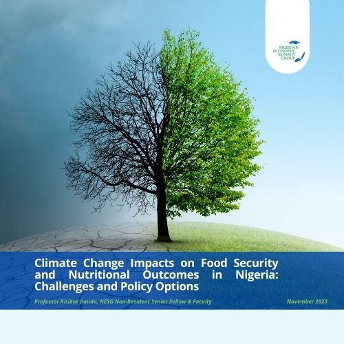 Climate Change Impacts on Food Security and Nutritional Outcomes in Nigeria: Challenges and Policy Options